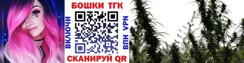 купить закладку  Суджа  Конопля план 